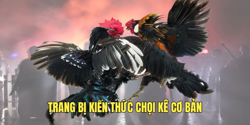 trang-bi-kien-thuc-da-ga-co-ban