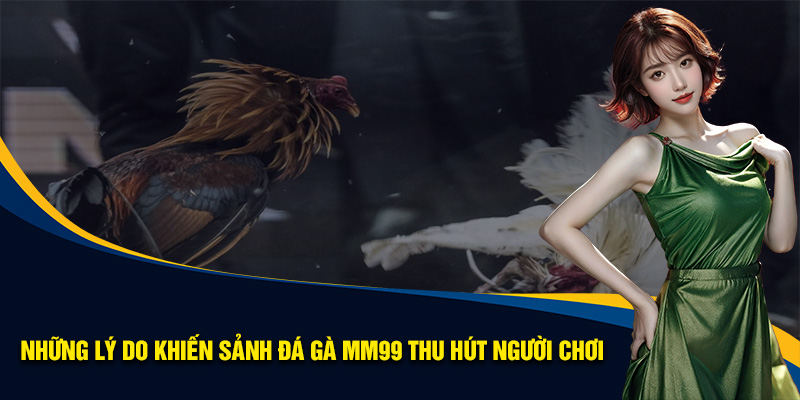 da-ga-campuchia-tai-mm99