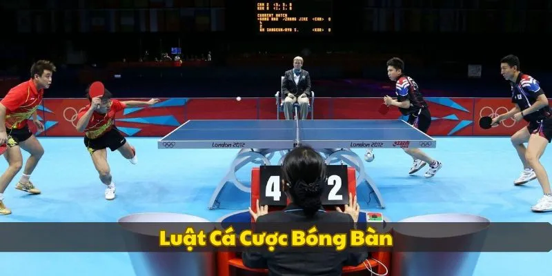 luat-ca-cuoc-bong-ban